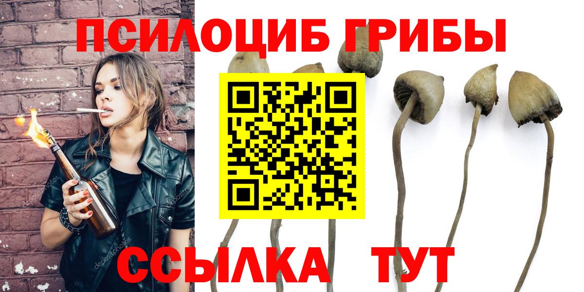 Псилоцибиновые грибы мицелий  Псилоцибиновые грибы Psilocybine cubensis  Дзержинск  Вход с VPN 